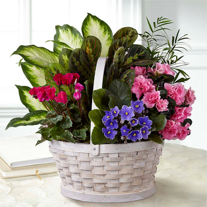 Peaceful Garden Planter – HOLLOW TREE GIFTS & FLORAL LLC, Cascade IA