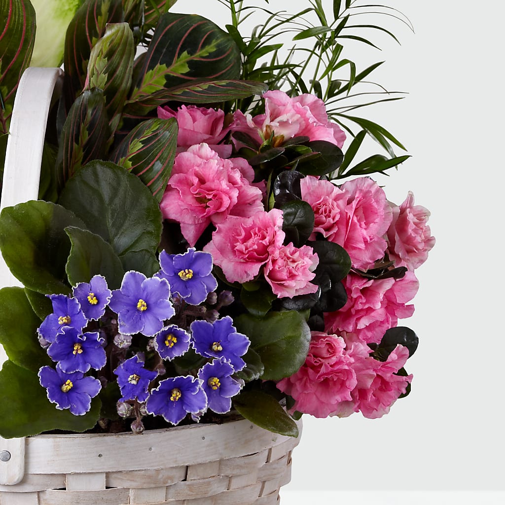 Peaceful Garden Planter – HOLLOW TREE GIFTS & FLORAL LLC, Cascade IA