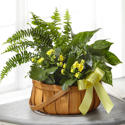 Always Dear Dishgarden – HOLLOW TREE GIFTS & FLORAL LLC, Cascade IA