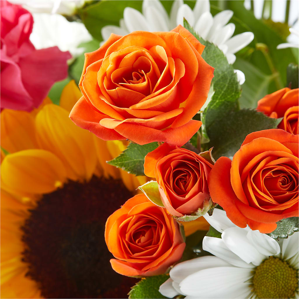 Sun-drenched Blooms Bouquet – HOLLOW TREE GIFTS & FLORAL LLC, Cascade IA