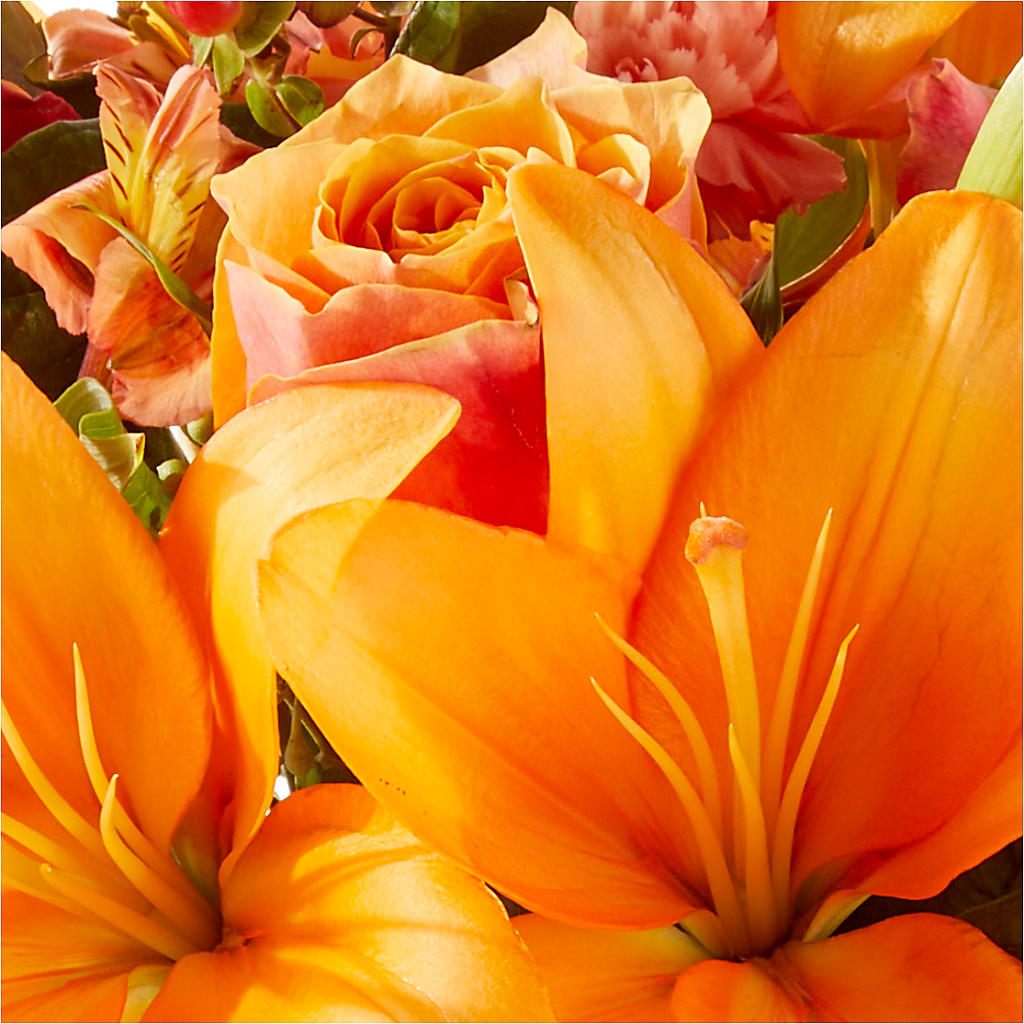 Afternoon Light Bouquet – HOLLOW TREE GIFTS & FLORAL LLC, Cascade IA