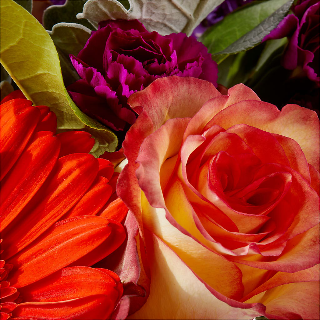 Sangria Bouquet – HOLLOW TREE GIFTS & FLORAL LLC, Cascade IA