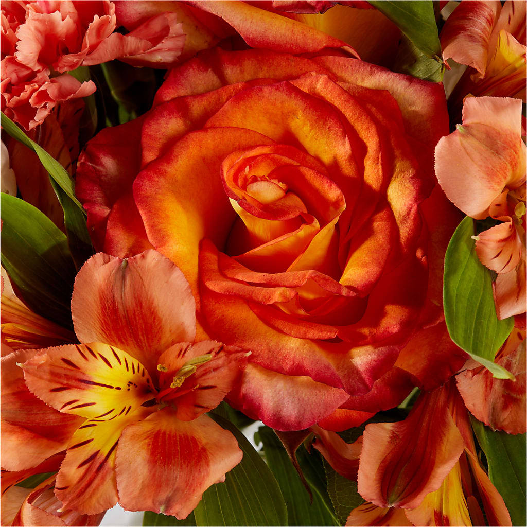 Apricot Glow Bouquet – HOLLOW TREE GIFTS & FLORAL LLC, Cascade IA
