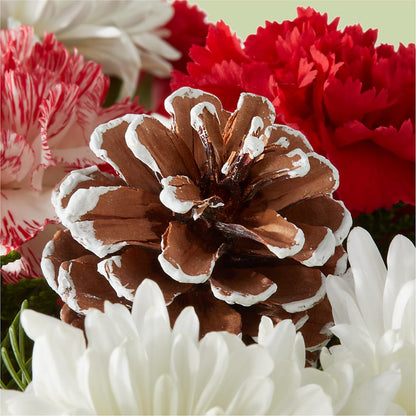Candy Cane Lane Bouquet – HOLLOW TREE GIFTS & FLORAL LLC, Cascade IA