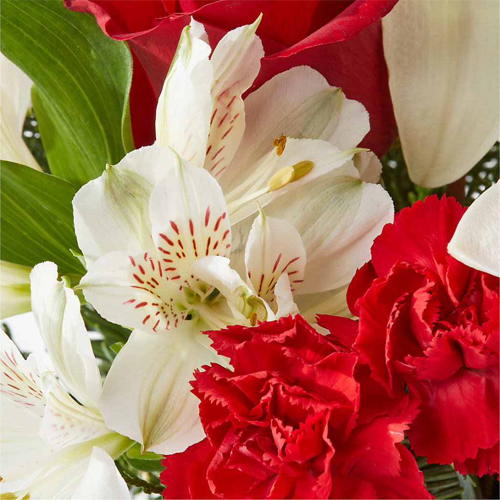 Holiday Season Bouquet – HOLLOW TREE GIFTS & FLORAL LLC, Cascade IA