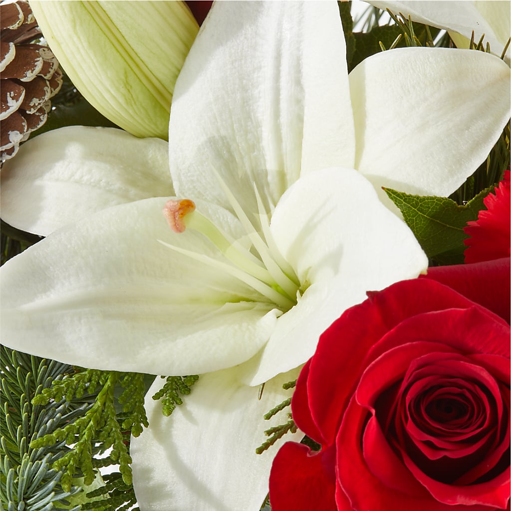 Oh So Jolly Bouquet – HOLLOW TREE GIFTS & FLORAL LLC, Cascade IA