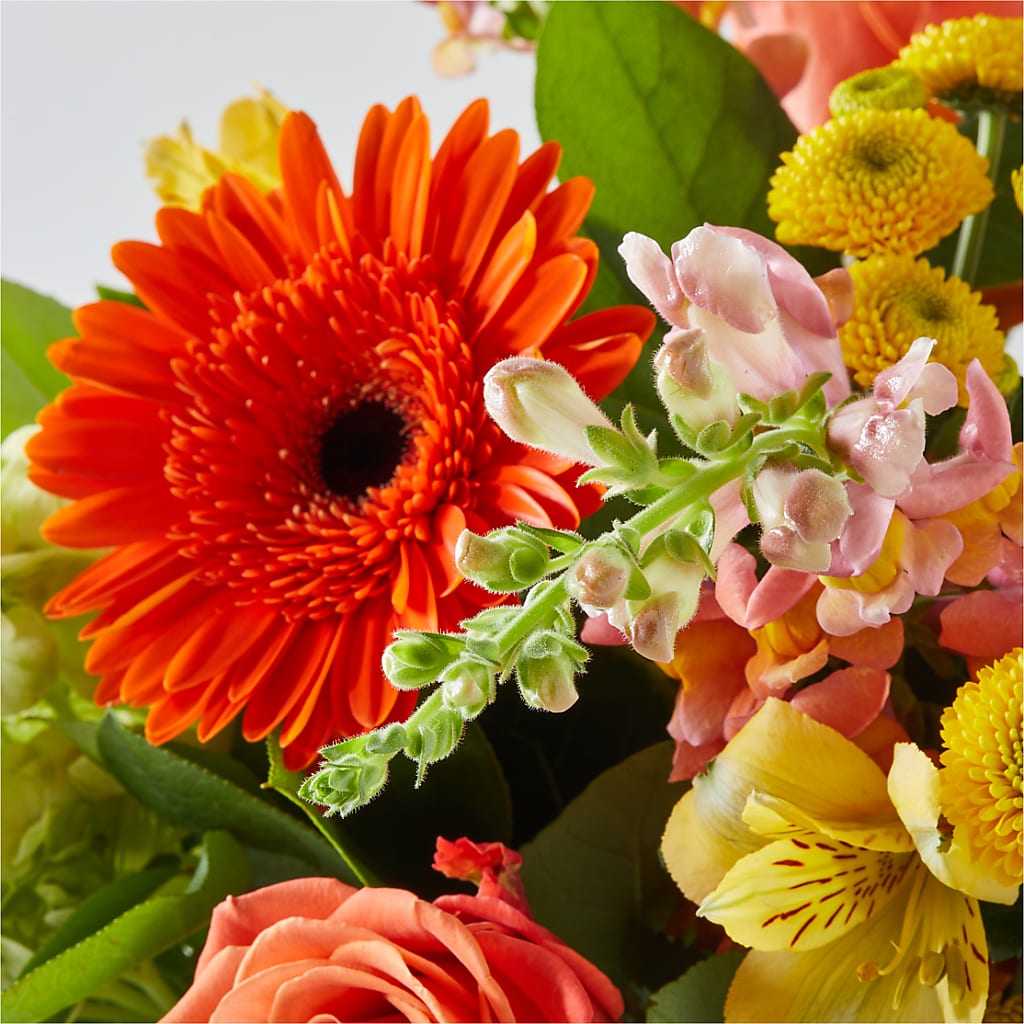 Autumn Sunshine Bouquet – HOLLOW TREE GIFTS & FLORAL LLC, Cascade IA