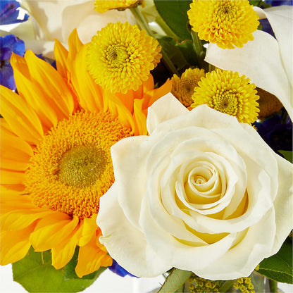 Stargazing Bouquet – HOLLOW TREE GIFTS & FLORAL LLC, Cascade IA