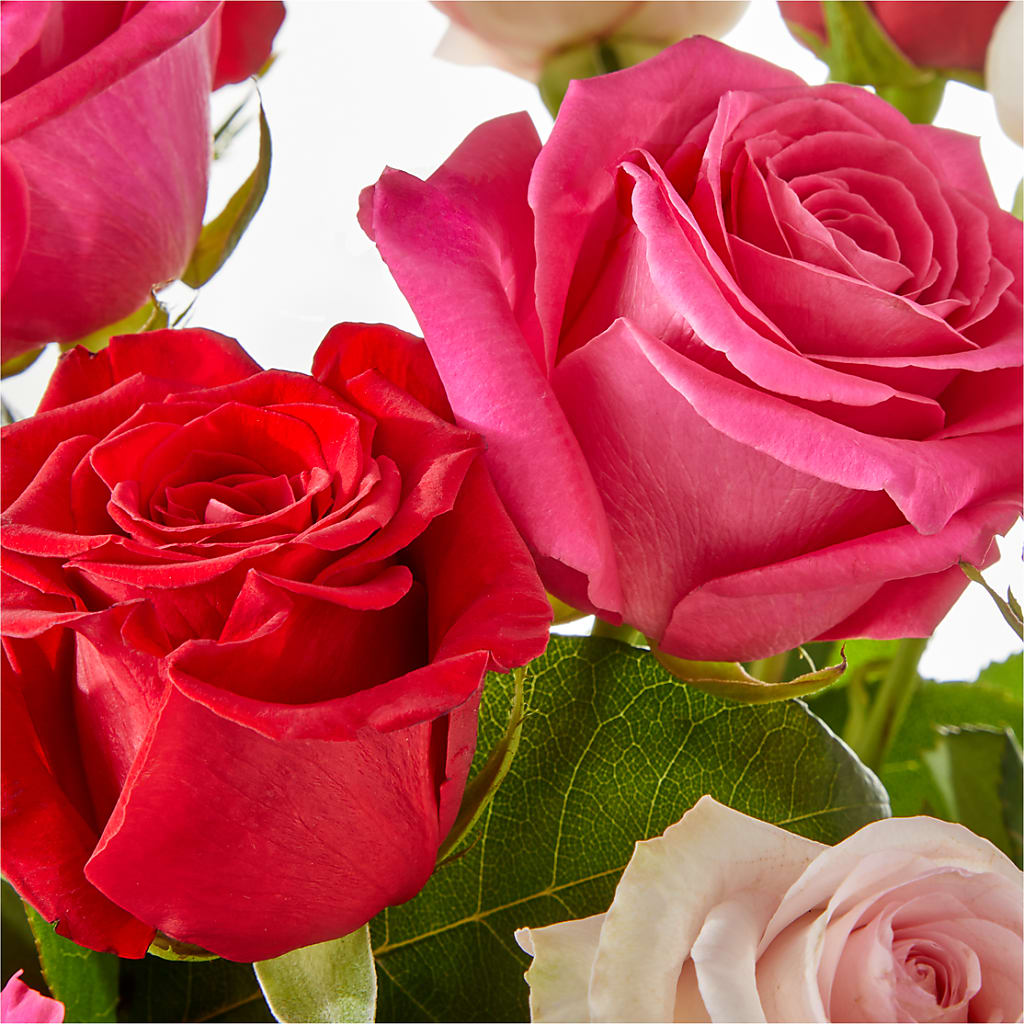 Charming Rose Bouquet – HOLLOW TREE GIFTS & FLORAL LLC, Cascade IA