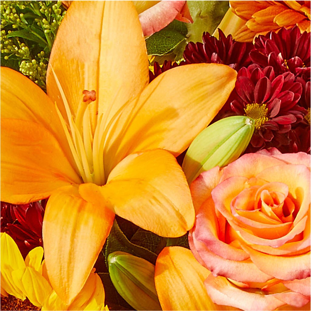 Seasons Change Bouquet – HOLLOW TREE GIFTS & FLORAL LLC, Cascade IA