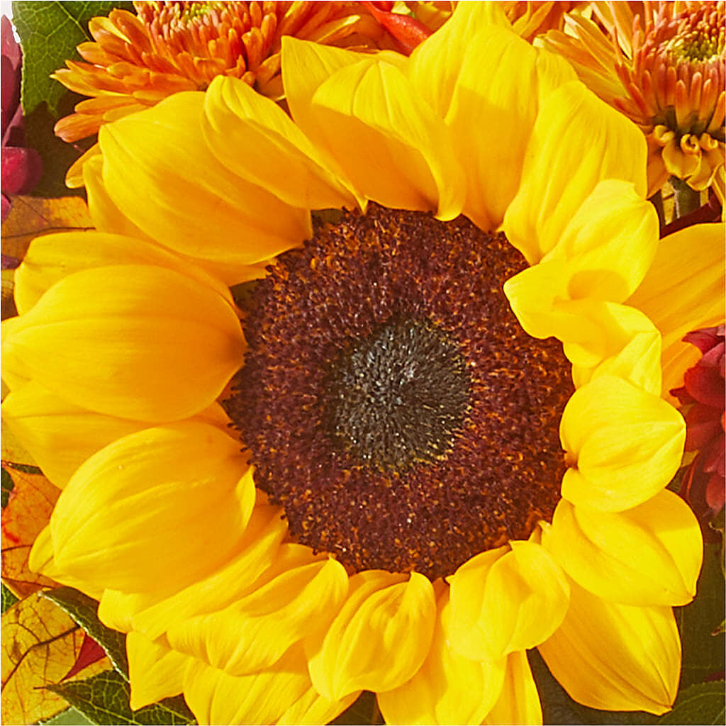 Sunny Side Bouquet – HOLLOW TREE GIFTS & FLORAL LLC, Cascade IA