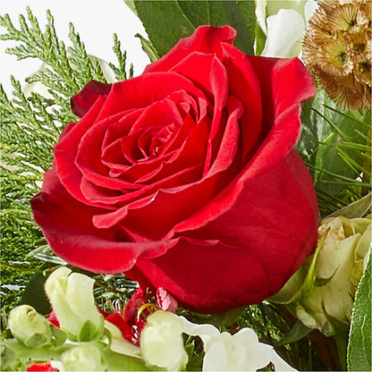 Deck the Halls Bouquet – HOLLOW TREE GIFTS & FLORAL LLC, Cascade IA
