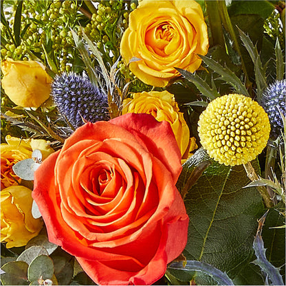Disco Bouquet – HOLLOW TREE GIFTS & FLORAL LLC, Cascade IA