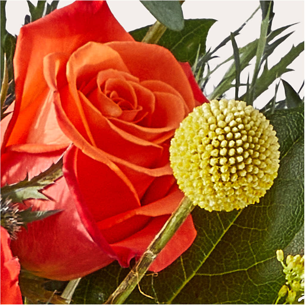 Disco Bouquet – HOLLOW TREE GIFTS & FLORAL LLC, Cascade IA