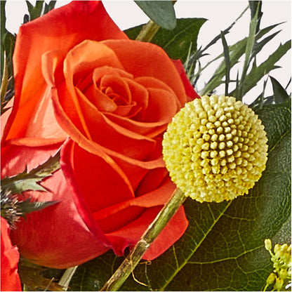Disco Bouquet – HOLLOW TREE GIFTS & FLORAL LLC, Cascade IA