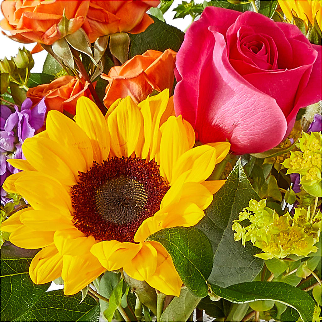 Vibrant Greetings Bouquet – HOLLOW TREE GIFTS & FLORAL LLC, Cascade IA