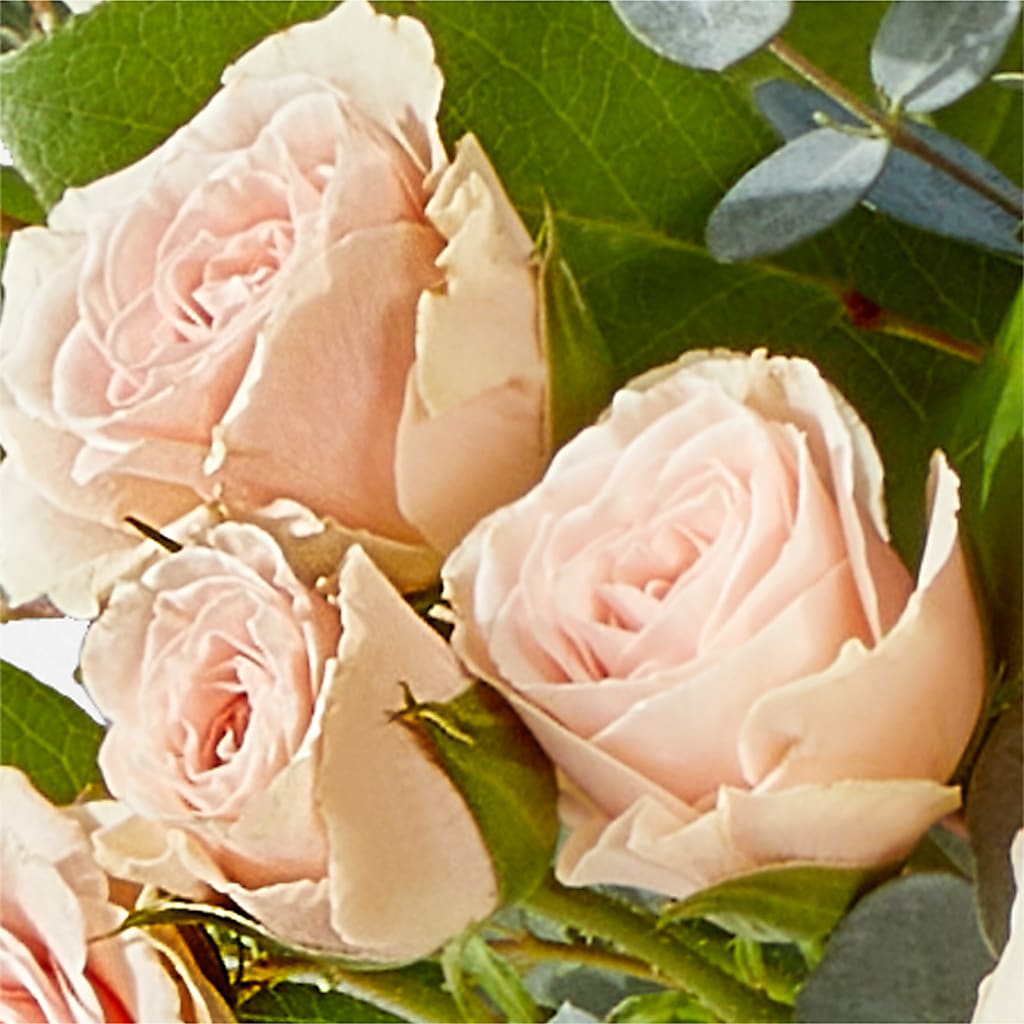 Inspired Bouquet – HOLLOW TREE GIFTS & FLORAL LLC, Cascade IA