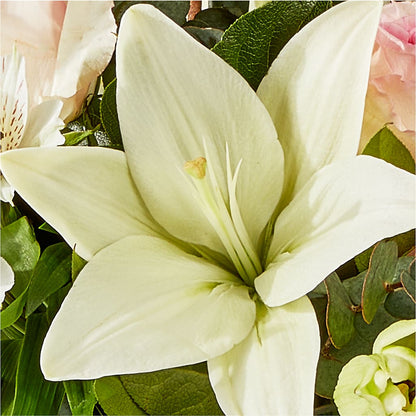Ballet Slippers Bouquet – HOLLOW TREE GIFTS & FLORAL LLC, Cascade IA
