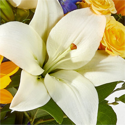 Wonderfully Sunny Bouquet – HOLLOW TREE GIFTS & FLORAL LLC, Cascade IA