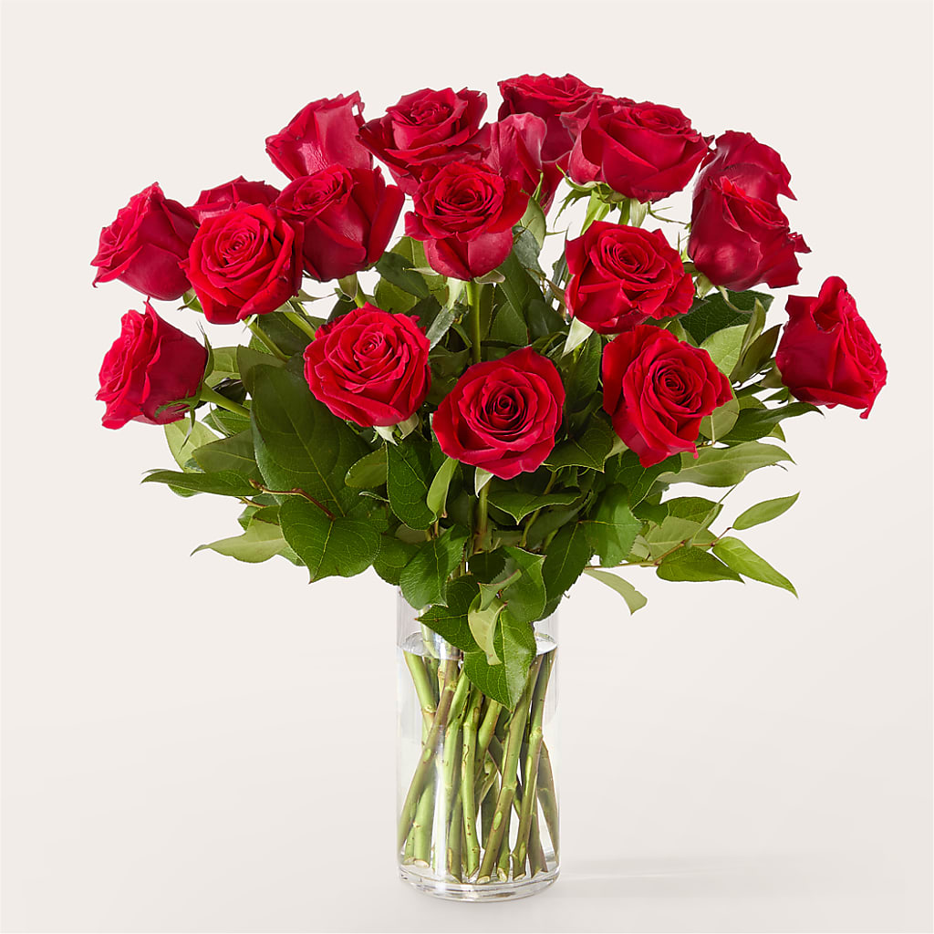 The One Red Rose Bouquet – HOLLOW TREE GIFTS & FLORAL LLC, Cascade IA