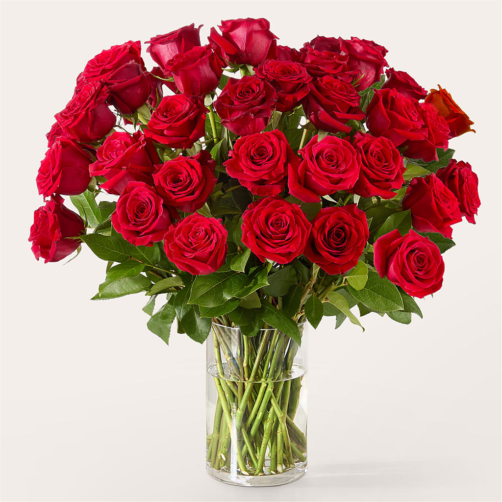 The One Red Rose Bouquet – HOLLOW TREE GIFTS & FLORAL LLC, Cascade IA