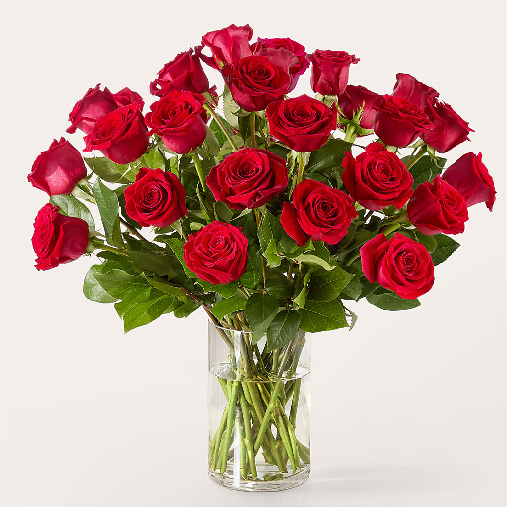 The One Red Rose Bouquet – HOLLOW TREE GIFTS & FLORAL LLC, Cascade IA