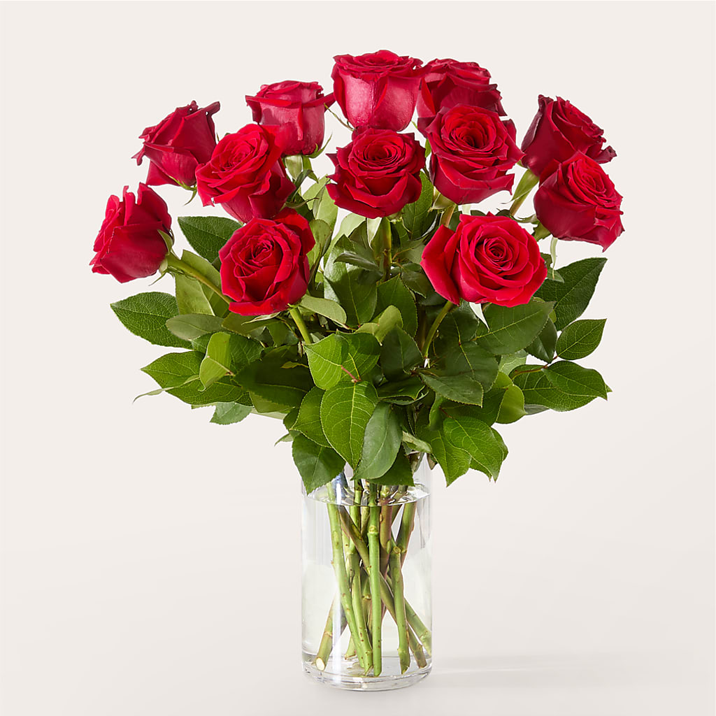 The One Red Rose Bouquet – HOLLOW TREE GIFTS & FLORAL LLC, Cascade IA