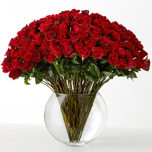 The Idealist – HOLLOW TREE GIFTS & FLORAL LLC, Cascade IA