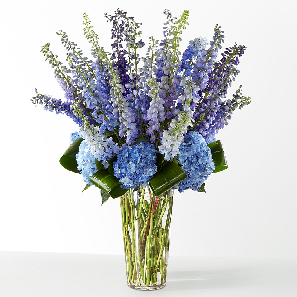 The Editorial – HOLLOW TREE GIFTS & FLORAL LLC, Cascade IA