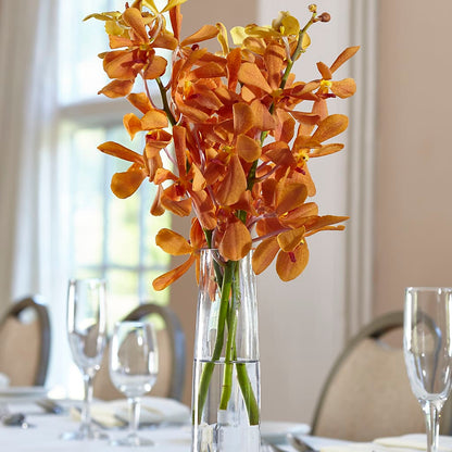 Orange Mokara Bud Vase – HOLLOW TREE GIFTS & FLORAL LLC, Cascade IA