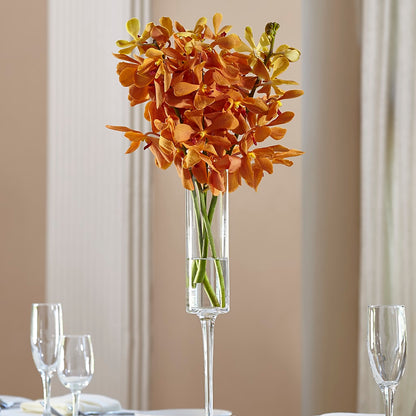 Orange Mokara Bouquet – HOLLOW TREE GIFTS & FLORAL LLC, Cascade IA