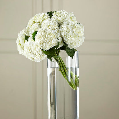 White Hydrangea Hand-Tied Bouquet – HOLLOW TREE GIFTS & FLORAL LLC, Cascade IA