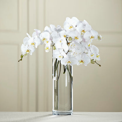 White Phalaenopsis Bouquet – HOLLOW TREE GIFTS & FLORAL LLC, Cascade IA
