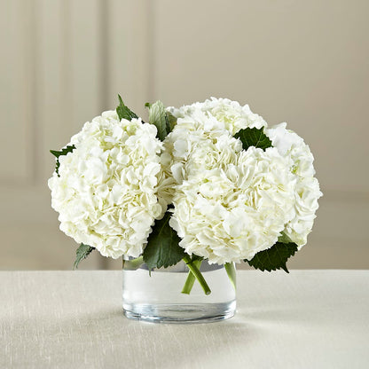 White Hydrangea Bouquet – HOLLOW TREE GIFTS & FLORAL LLC, Cascade IA